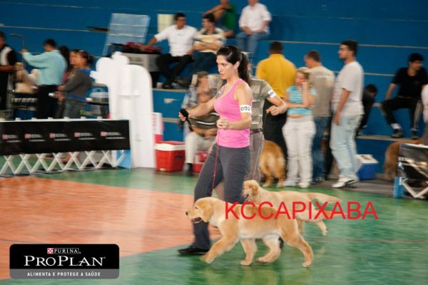 Clique sobre a foto para fechar